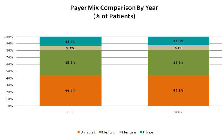 v3_2010_payer mix